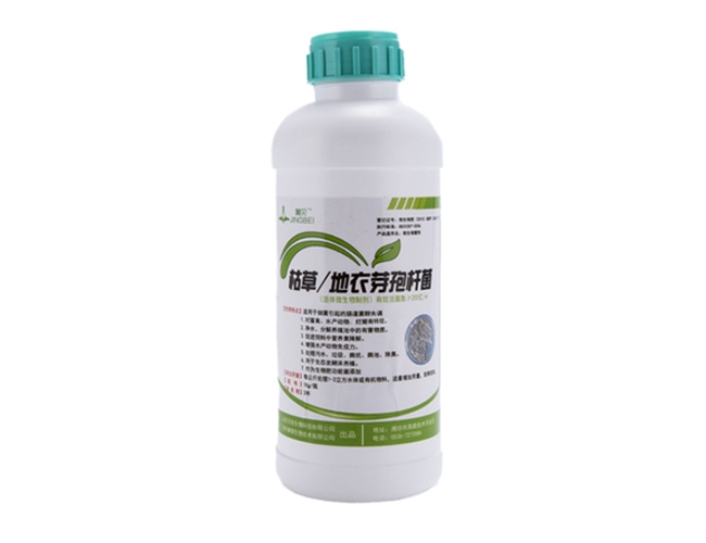 枯草地衣復合芽孢桿菌